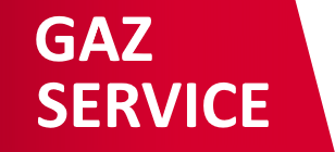 Gaz Service- reparatii auto Chisinau